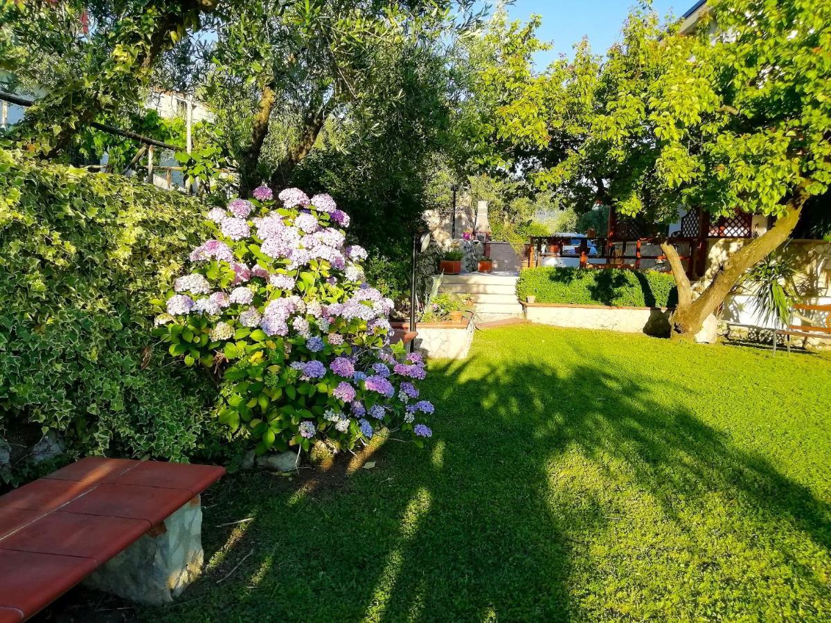 B&B Maison Villa Vittorio Avella Extérieur photo