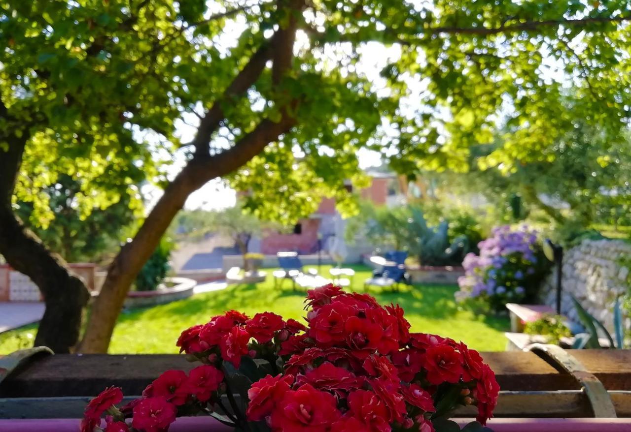 B&B Maison Villa Vittorio Avella Extérieur photo